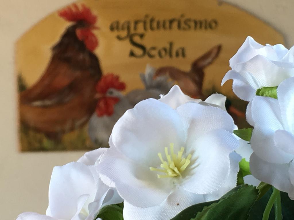 Agriturismo Cascina Scola Rivoli  Exterior foto