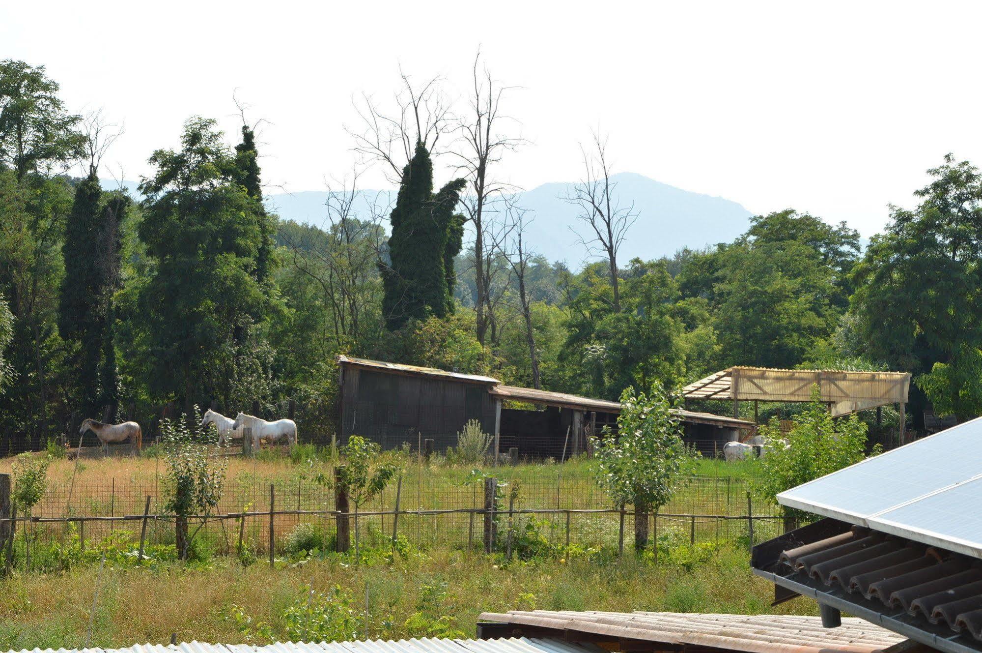 Agriturismo Cascina Scola Rivoli  Exterior foto